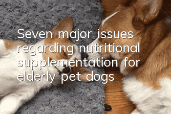 Seven major issues regarding nutritional supplementation for elderly pet dogs