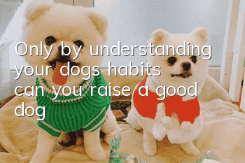 Only by understanding your dog’s habits can you raise a good dog!