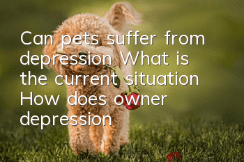 Can pets suffer from depression? What is the current situation? How does owner depression affect pets?
