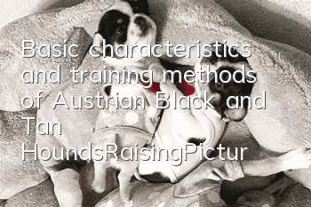 Basic characteristics and training methods of Austrian Black and Tan Hounds_Raising|Pictures
