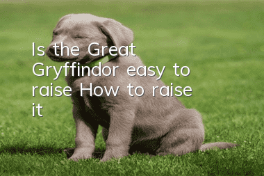 Is the Great Gryffindor easy to raise? How to raise it?