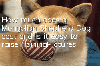 How much does a Mongolian Shepherd Dog cost and is it easy to raise_Training|Pictures