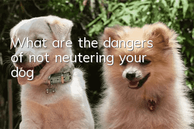 What are the dangers of not neutering your dog?