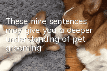 These nine sentences may give you a deeper understanding of pet grooming