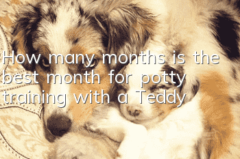 How many months is the best month for potty training with a Teddy?