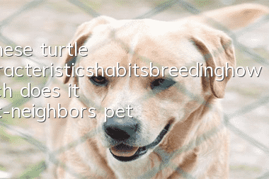 Chinese turtle characteristics_habits_breeding_how much does it cost-neighbor’s pet