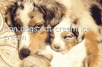 Can dogs eat cream ice cream?
