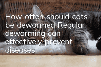 How often should cats be dewormed? Regular deworming can effectively prevent diseases
