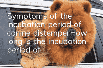 Symptoms of the incubation period of canine distemper_How long is the incubation period of canine distemper?