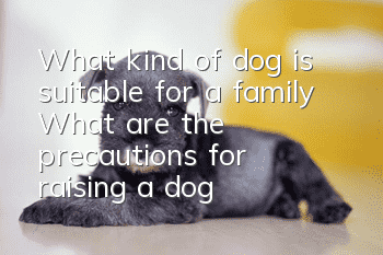 What kind of dog is suitable for a family? What are the precautions for raising a dog?
