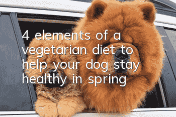 4 elements of a vegetarian diet to help your dog stay healthy in spring