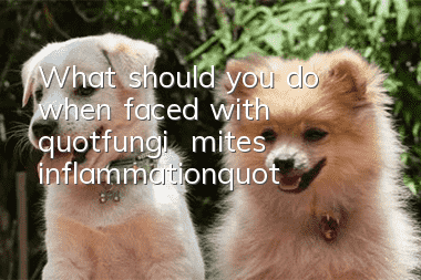 What should you do when faced with "fungi + mites + inflammation"?