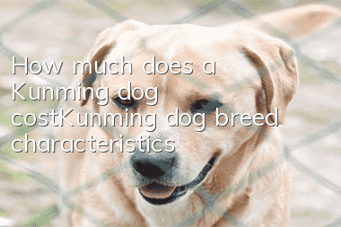 How much does a Kunming dog cost_Kunming dog breed characteristics