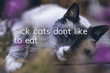 Sick cats don’t like to eat?