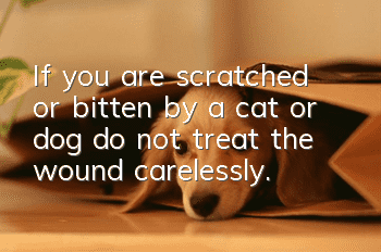 If you are scratched or bitten by a cat or dog, do not treat the wound carelessly.