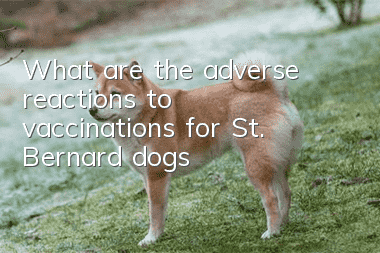 What are the adverse reactions to vaccinations for St. Bernard dogs?