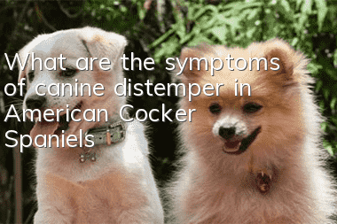 What are the symptoms of canine distemper in American Cocker Spaniels?