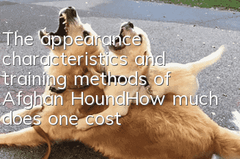 The appearance characteristics and training methods of Afghan Hound_How much does one cost?
