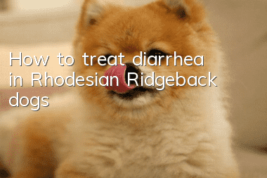 How to treat diarrhea in Rhodesian Ridgeback dogs