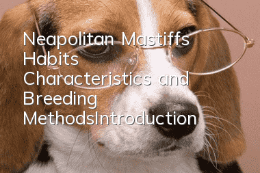 Neapolitan Mastiff’s Habits, Characteristics and Breeding Methods_Introduction