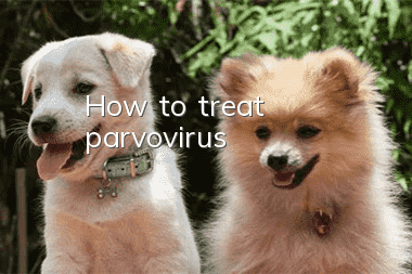 How to treat parvovirus