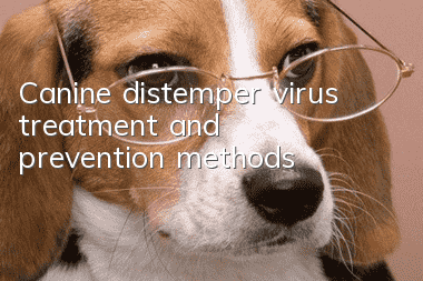Canine distemper virus treatment and prevention methods