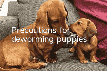 Precautions for deworming puppies
