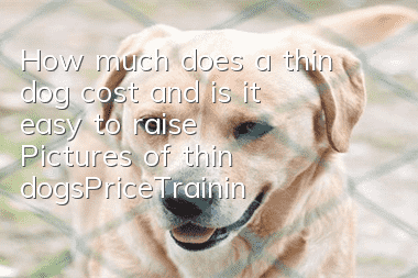 How much does a thin dog cost and is it easy to raise? Pictures of thin dogs|Price|Training