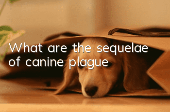 What are the sequelae of canine plague?