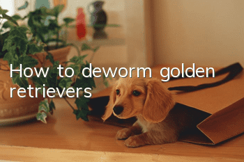 How to deworm golden retrievers