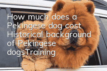 How much does a Pekingese dog cost? Historical background of Pekingese dogs_Training