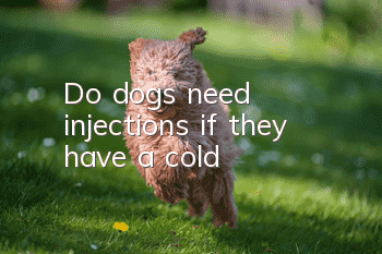 Do dogs need injections if they have a cold?
