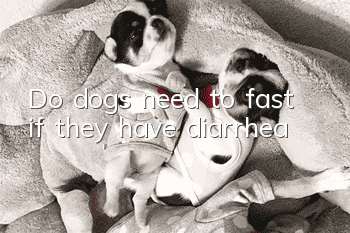 Do dogs need to fast if they have diarrhea?