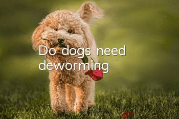 Do dogs need deworming?