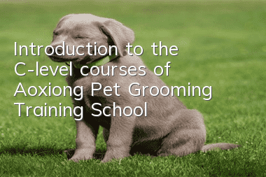 Introduction to the C-level courses of Aoxiong Pet Grooming Training School