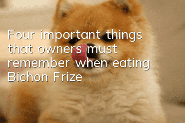 Four important things that owners must remember when eating Bichon Frize