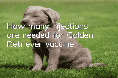 How many injections are needed for Golden Retriever vaccine?