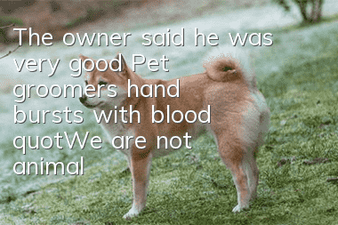 The owner said he was very good! Pet groomer's hand bursts with blood: "We are not animal trainers"
