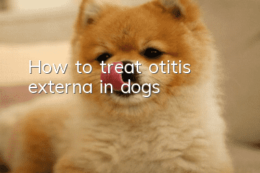 How to treat otitis externa in dogs