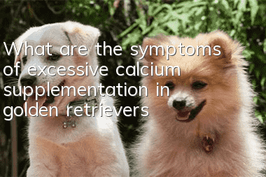 What are the symptoms of excessive calcium supplementation in golden retrievers?