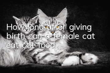 How long after giving birth can a female cat eat cat food?