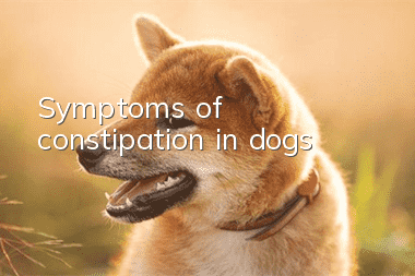 Symptoms of constipation in dogs