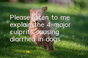 Please listen to me explain the 4 major culprits causing diarrhea in dogs!