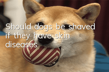 Should dogs be shaved if they have skin diseases?