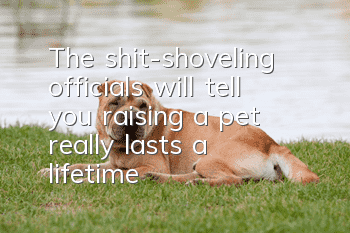 The shit-shoveling officials will tell you: raising a pet really lasts a lifetime