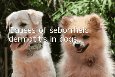 Causes of seborrheic dermatitis in dogs