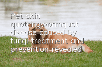 Pet skin "ringworm" disease caused by fungi, treatment and prevention revealed!