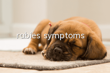rabies symptoms