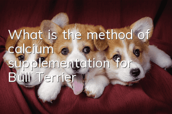 What is the method of calcium supplementation for Bull Terrier?