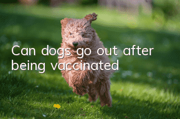 Can dogs go out after being vaccinated?
